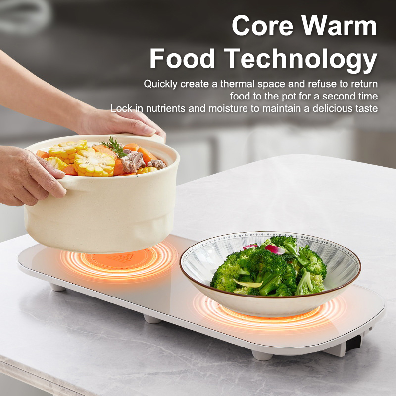 Plateau chauffant électrique p - Fondue Set Electric avis et prix